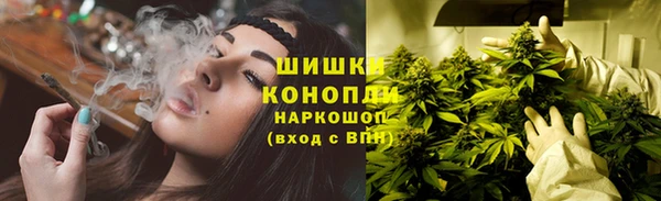 дживик Липки