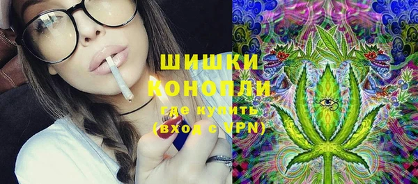дживик Липки