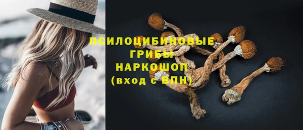 дживик Липки