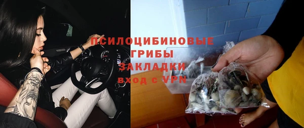 дживик Липки
