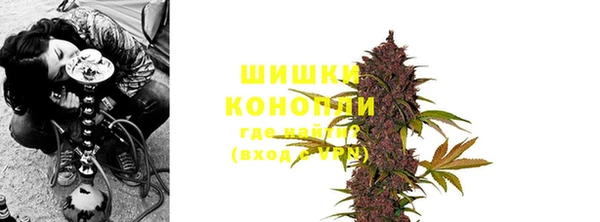 дживик Липки