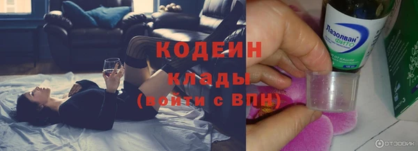 дживик Липки