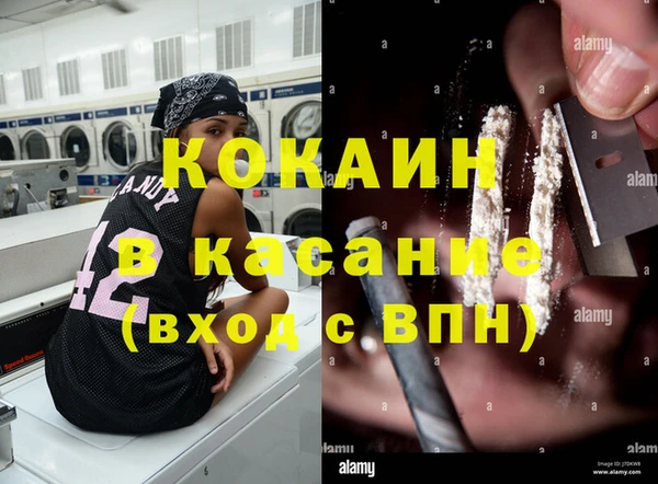 дживик Липки