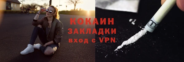 дживик Липки