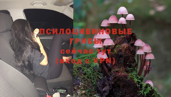 винт Лихославль