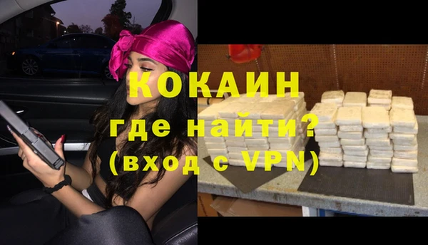 дживик Липки