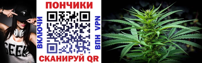Канабис план  купить наркотик  mega рабочий сайт  Энем 